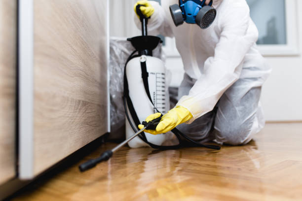 Best Exterminator Services  in Combee Settlement, FL