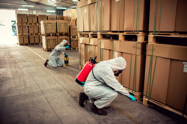 Best Wildlife Control Services  in Combee Settlement, FL