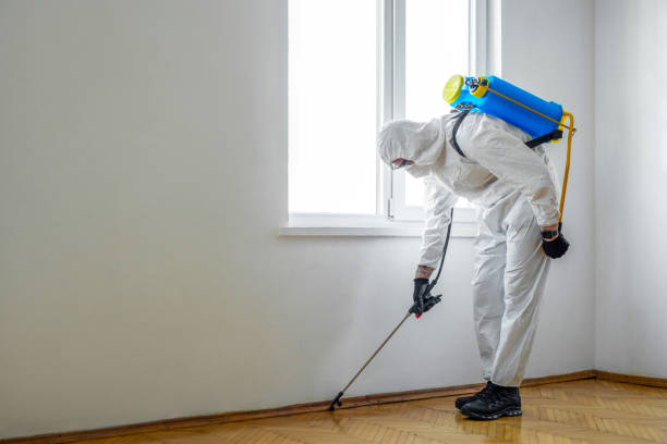 Best Cockroach Control Services  in Combee Settlement, FL