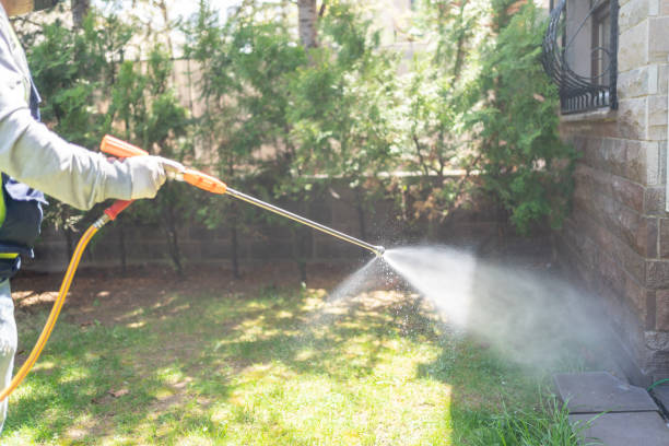 Best Local Pest Control Services  in Combee Settlement, FL