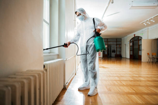 Wildlife Control Services in Combee Settlement, FL