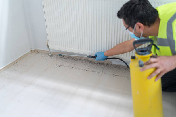 Best Pest Prevention Services  in Combee Settlement, FL