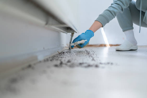 Best Exterminator Services  in Combee Settlement, FL